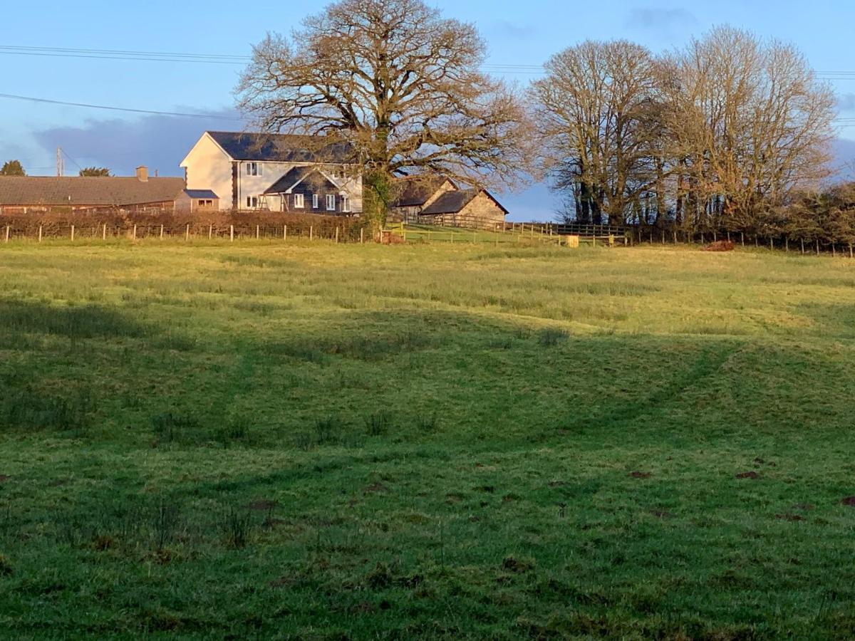 Villa Maen Llwyd Llanyre Esterno foto